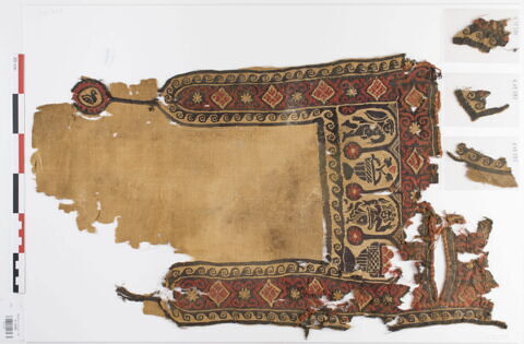 plastron de tunique ; clavus