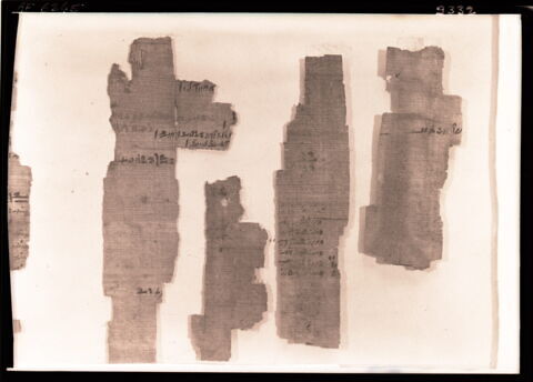 papyrus documentaire, image 5/18