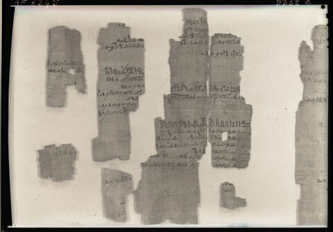 papyrus documentaire, image 7/18