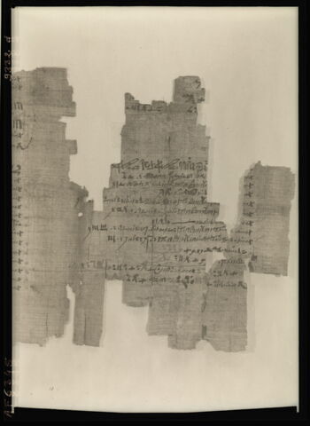 papyrus documentaire, image 8/18