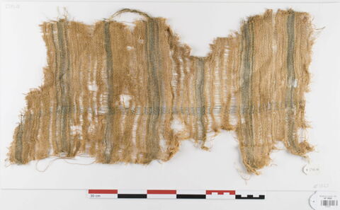tissu ; fragment