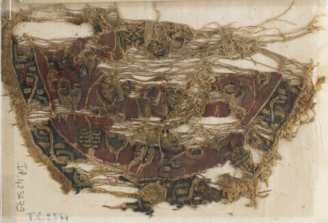 plastron de tunique