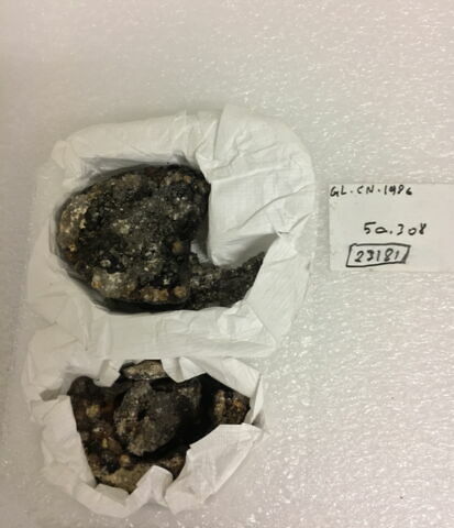 semelle de chaussure, fragment