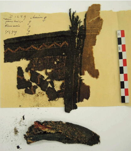 bande d'encolure ; fragments, image 2/2