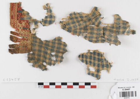 tissu ; fragments ; fragments