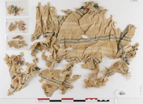 tissu ; fragments ; fragments