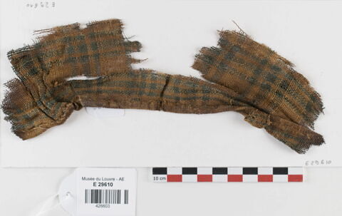 tissu ; fragment