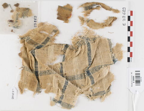 tissu ; fragments ; fragments