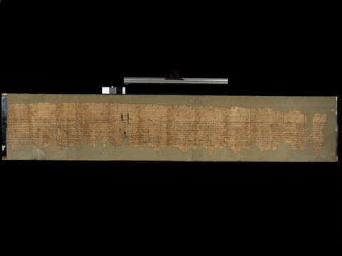 papyrus documentaire, image 4/4