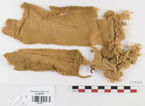 tissu ; fragments ; fragments