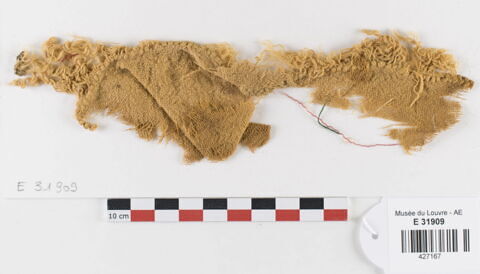 tissu ; fragment