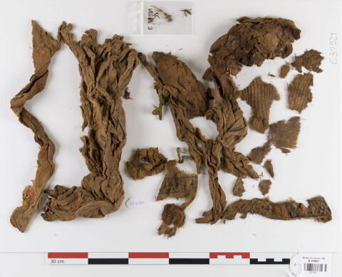 tissu ; fragments