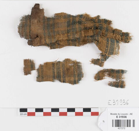 tissu ; fragments ; fragments