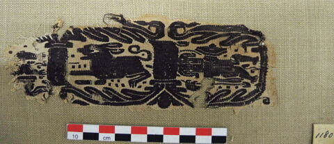 clavus ; fragment, image 2/2