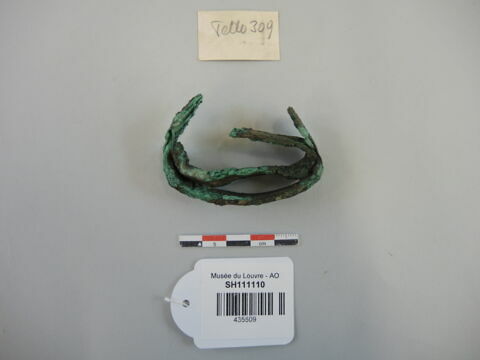 lamelle, image 2/2