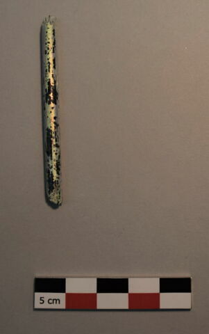 tige fragment
