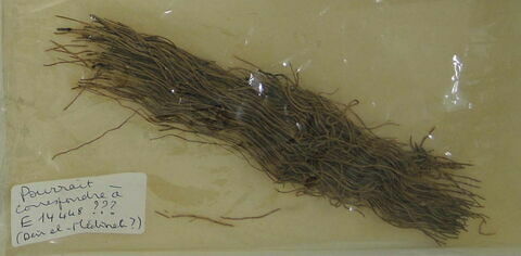 natte  ; fragments, image 2/2