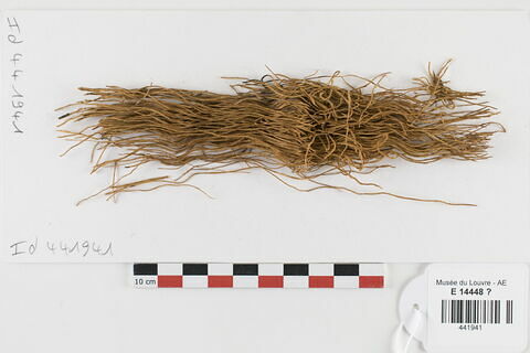 natte  ; fragments