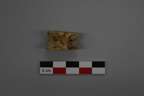 osselet, image 3/3