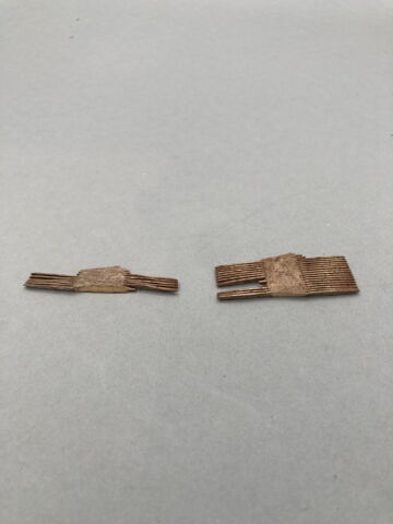 peigne, fragment