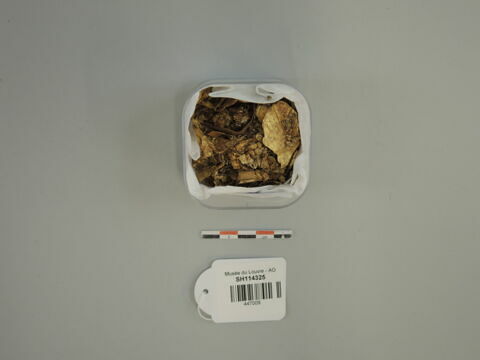 applique ; feuille ; fragment