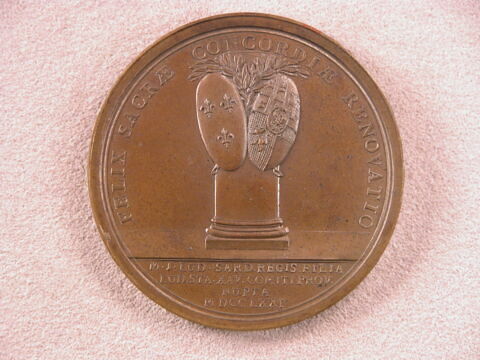 Mariage du comte de Provence (Louis XVIII)