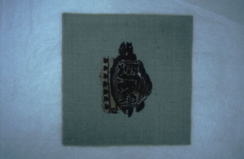 clavus, image 3/3