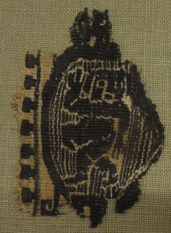 clavus, image 2/3