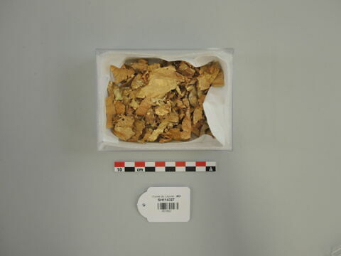 applique ; feuille ; fragment