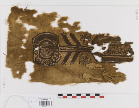clavus ; fragment