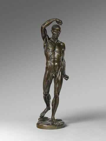 Homme écorché debout, le bras droit élevé, image 12/15
