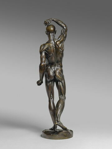 Homme écorché debout, le bras droit élevé, image 13/15