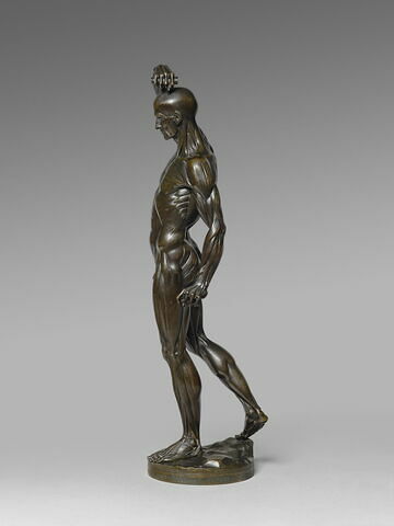 Homme écorché debout, le bras droit élevé, image 15/15