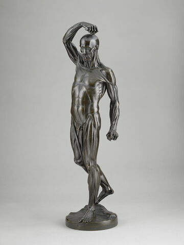 Homme écorché debout, le bras droit élevé, image 3/15