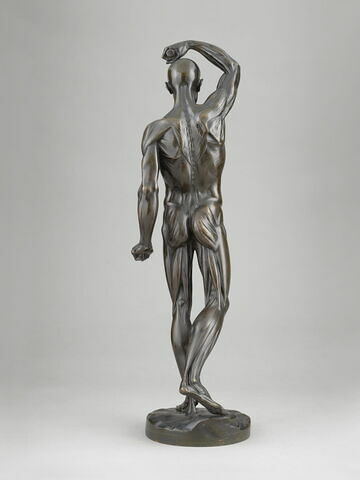Homme écorché debout, le bras droit élevé, image 5/15