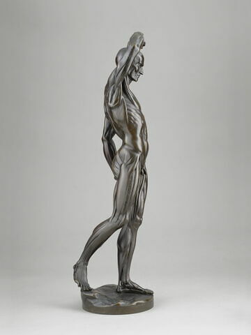 Homme écorché debout, le bras droit élevé, image 6/15