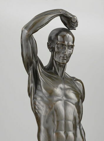 Homme écorché debout, le bras droit élevé, image 8/15