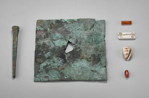 coquillage ; perle, image 2/4