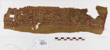 clavus ; fragment, image 1/2