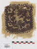 orbiculus ; fragment, image 1/2