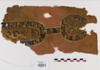 clavus ; fragment, image 1/2
