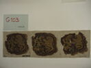 orbiculus  ; fragments, image 2/2
