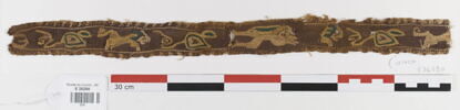 clavus ; fragment, image 1/2