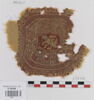 orbiculus ; fragment, image 1/2