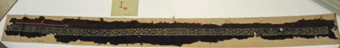 clavus, image 2/2