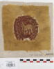 orbiculus ; fragment, image 1/2
