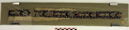 clavus ; fragment, image 2/2
