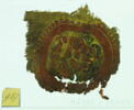 orbiculus ; fragment, image 2/2