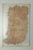 papyrus, image 3/3