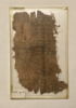 papyrus, image 1/3